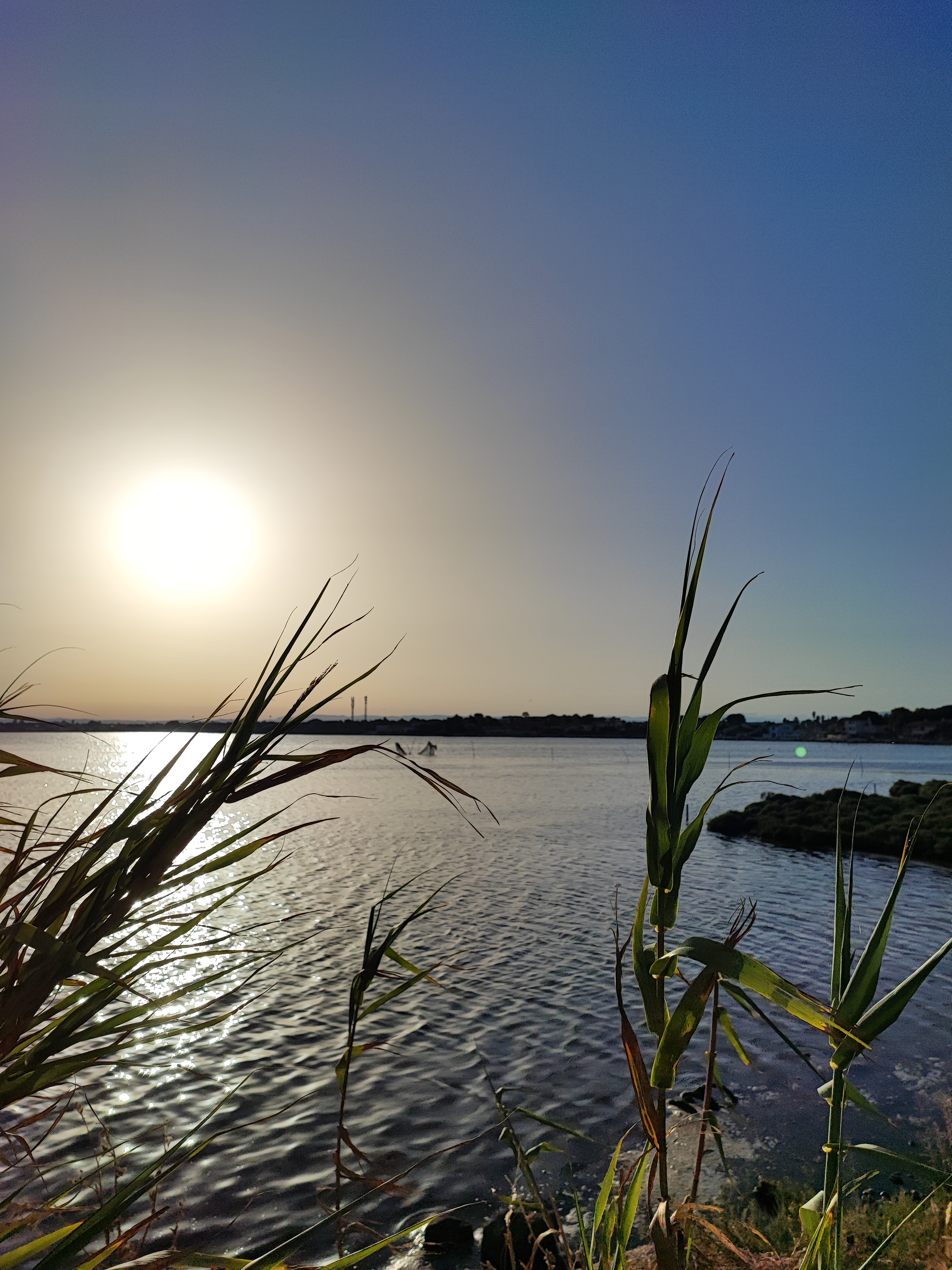 etang_de_l_or 66